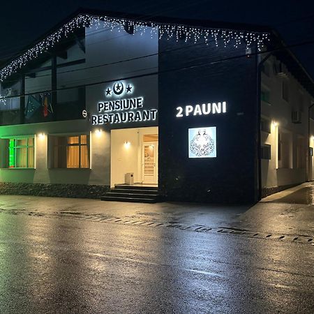 Pensiune Restaurant Pizzerie 2 Pauni Borşa Buitenkant foto